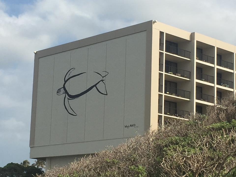 Tim Gray's album, Mobile Uploads