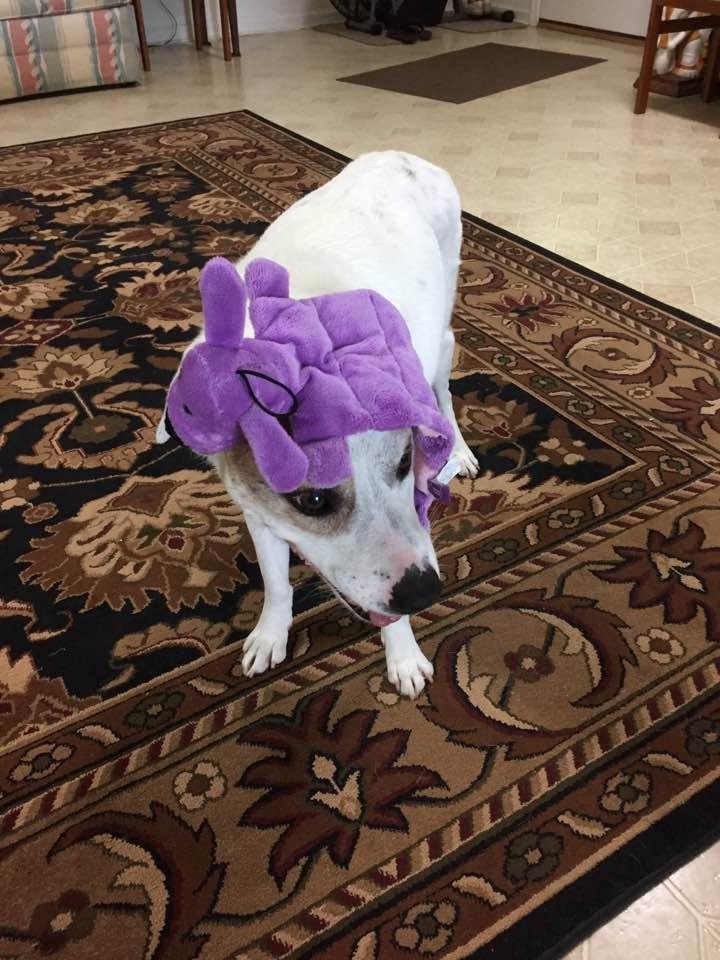 Barbara Miller's album, Timeline Photos