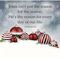 Grace Bloomquist's album, Timeline Photos
