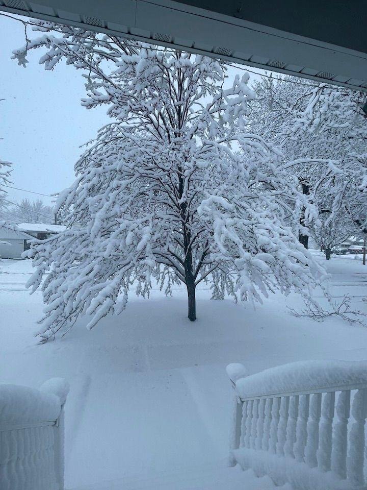 Trema Lund's album, Timeline photos
