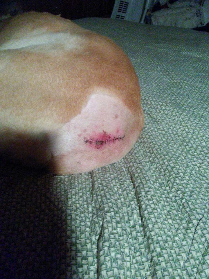 A little worried about the redness... You think it'd be OK to put Neosporin on it?