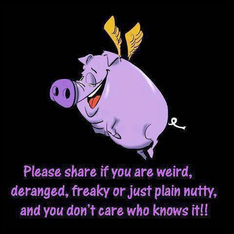 Louis Sohn's album, Timeline Photos