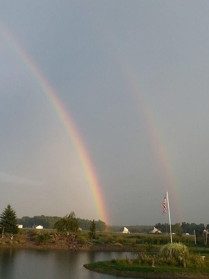 Beautiful