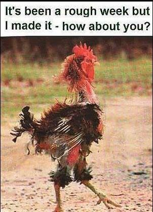 Robert Pollard's album, Timeline Photos