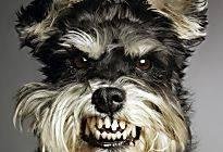 Not Lassie...