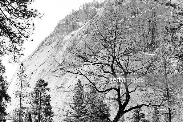 OK everybody it's official... It is below freezing at Yosemite on the third day of Autumn. It is 29 degrees, 3 degrees below freezing. Experts are saying that it will be a cold winter in California; not a whole lot of perci