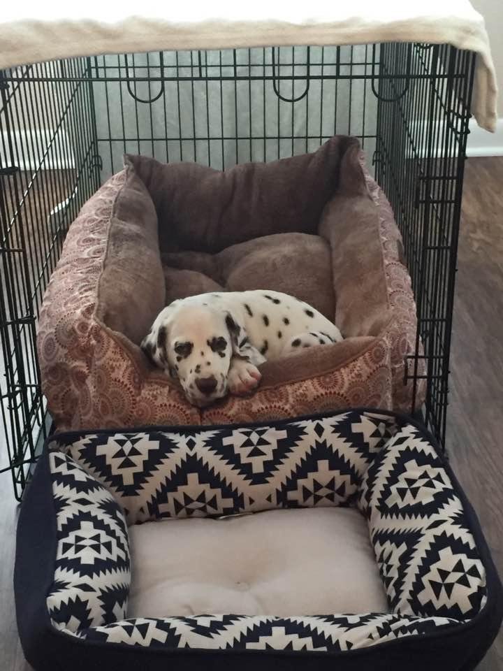 Archie Marlow's album, Timeline Photos