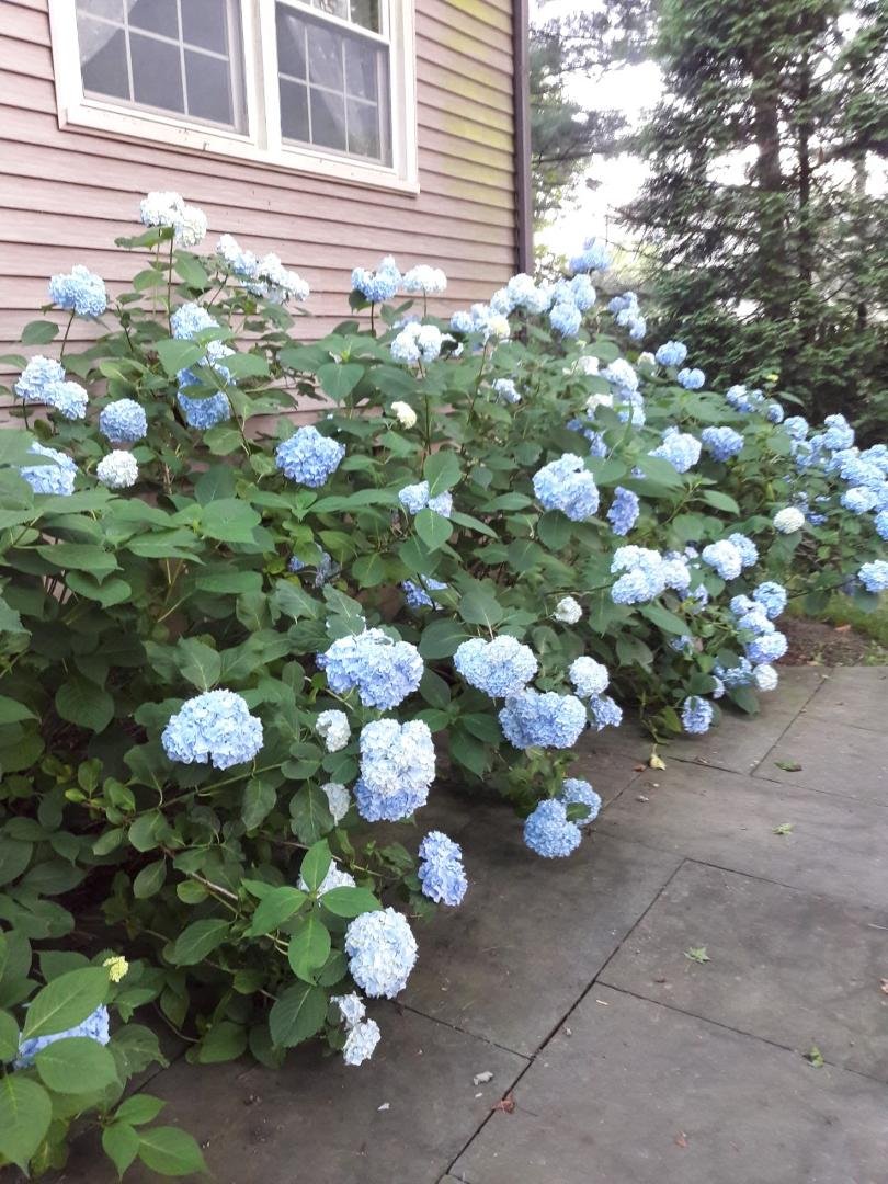 Robin Bushing's album, Timeline Photos