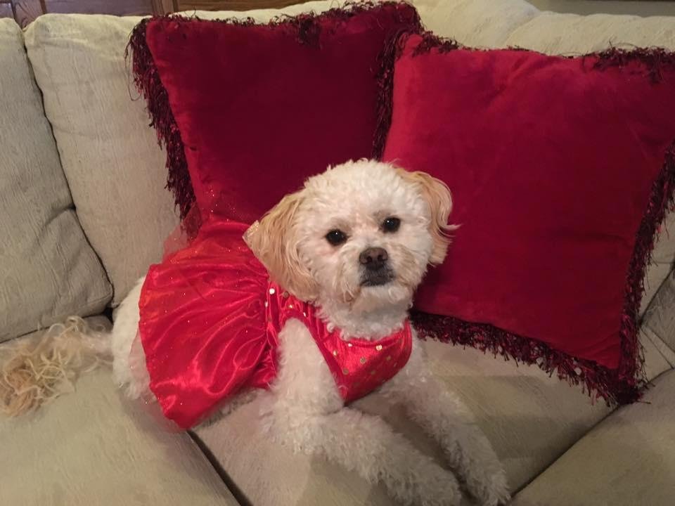Debra Crippa's album, Mobile uploads