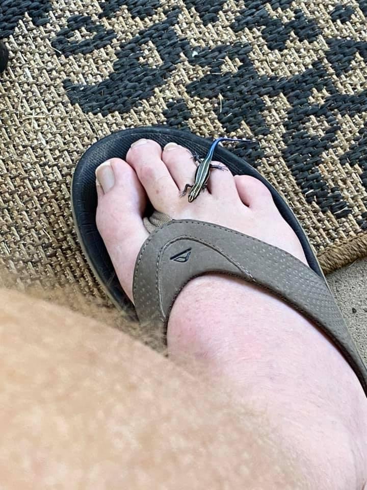 Enjoying my warm toes