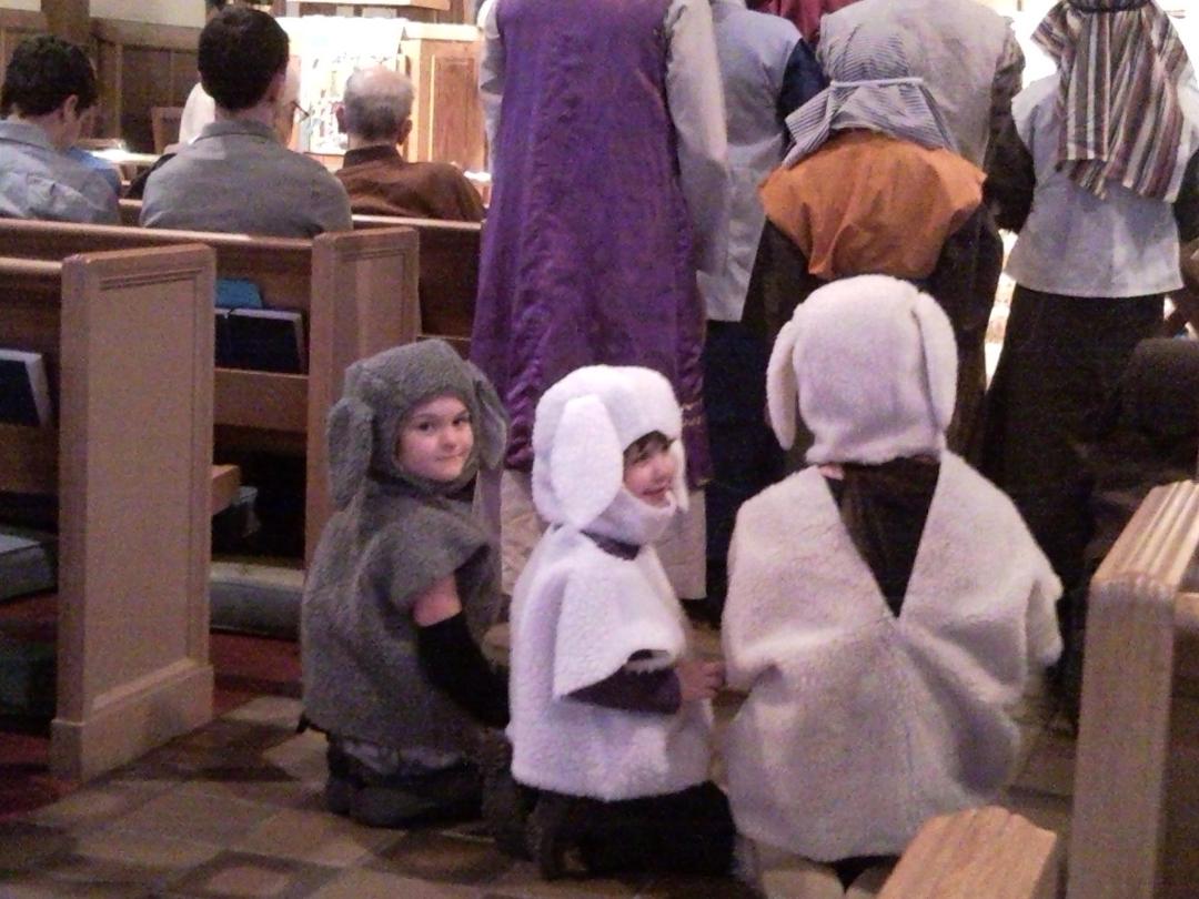 Kat and the other sheep in the pageant - Christmas Eve.