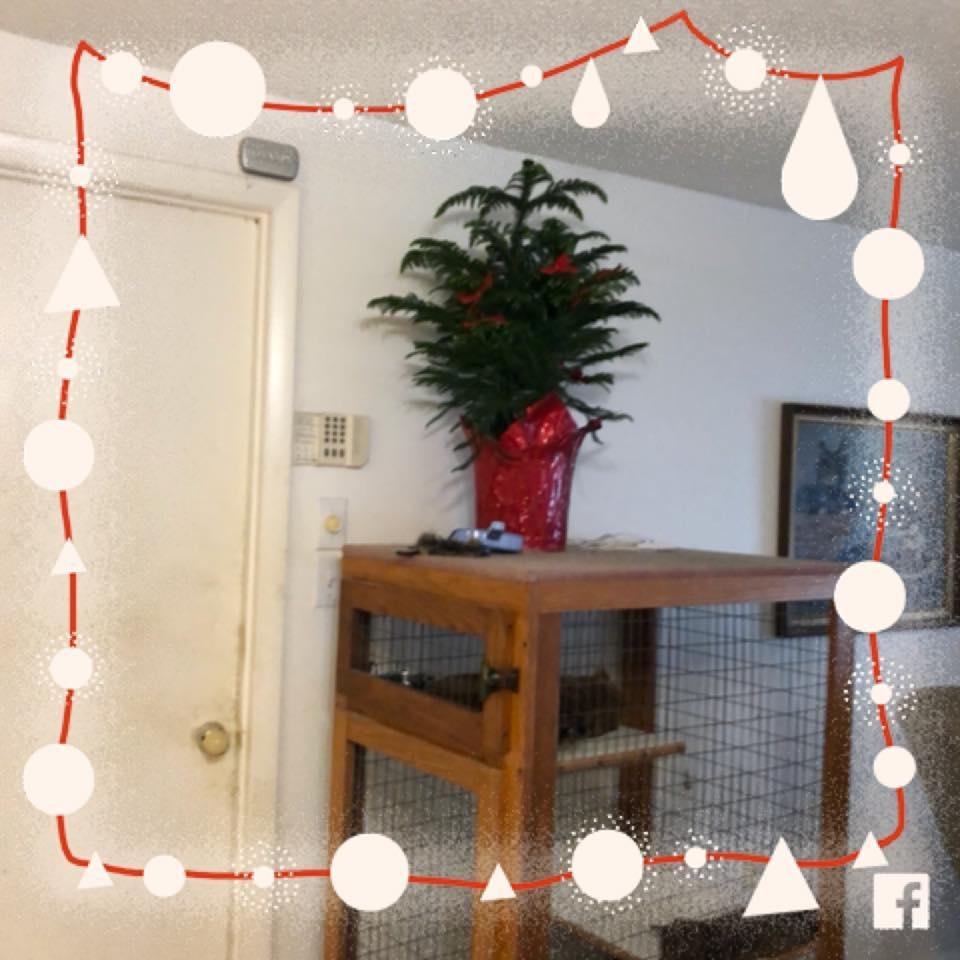 Merry Christmas and Happy New Year