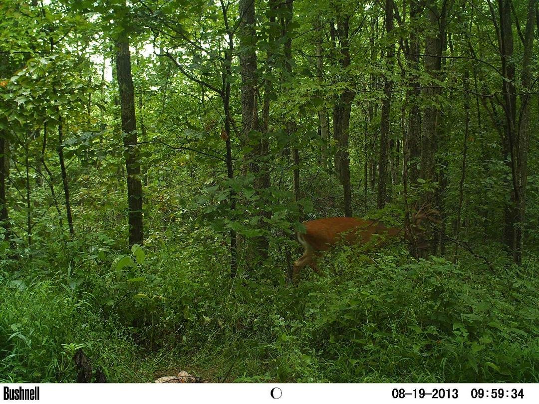 Checking at Deer camp for last days of season....