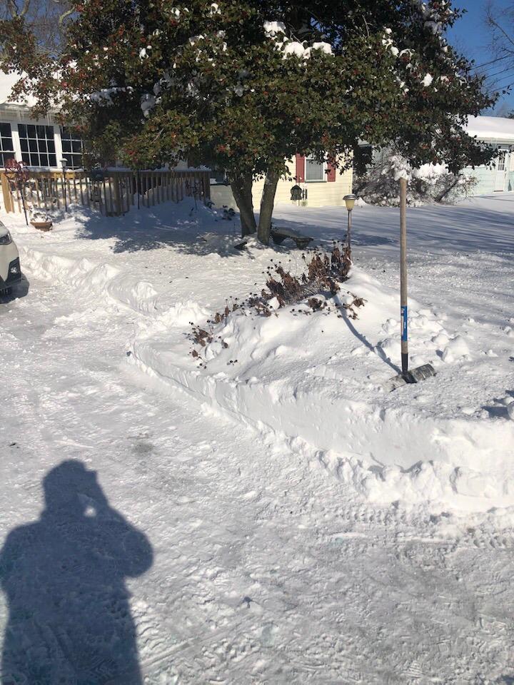 Anthony Apuzzo's album, Timeline photos