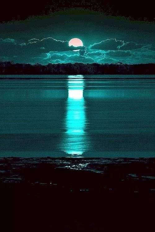 Carolyn Lean's album, Timeline Photos