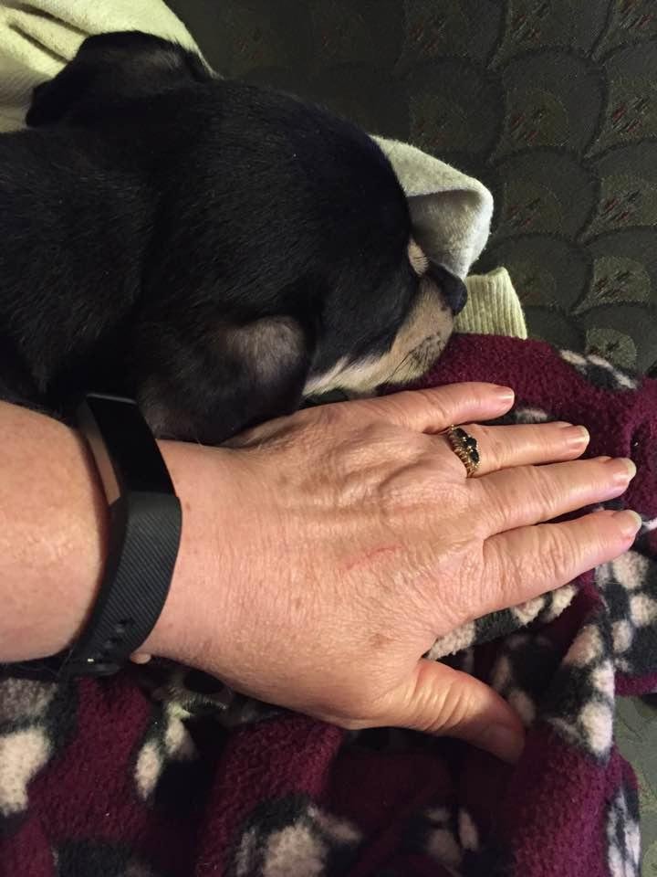Patsy Brasher's album, Timeline Photos