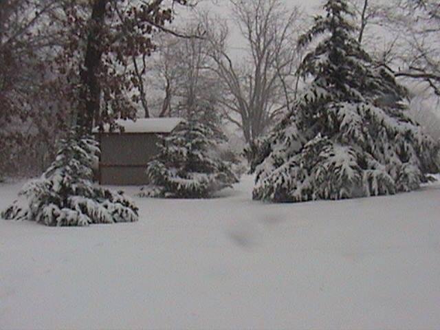 9 " in the Wendling yard as of 11:00 am.
