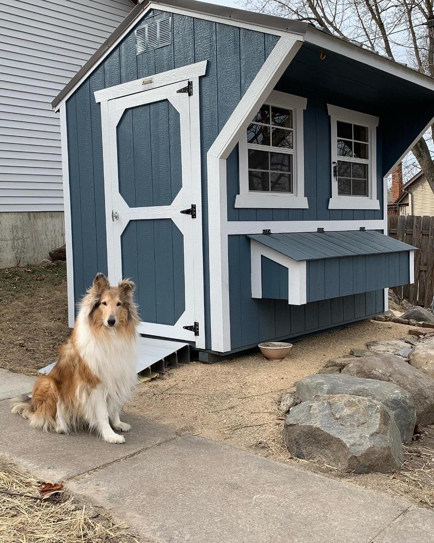 “My new dog house, Mark, you shouldn’t have!”