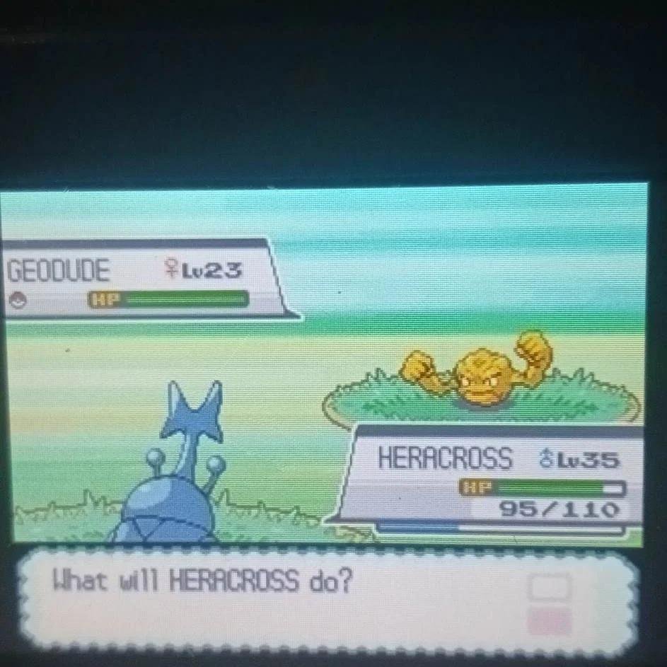 While griding up my team for the last gym🤯🥳