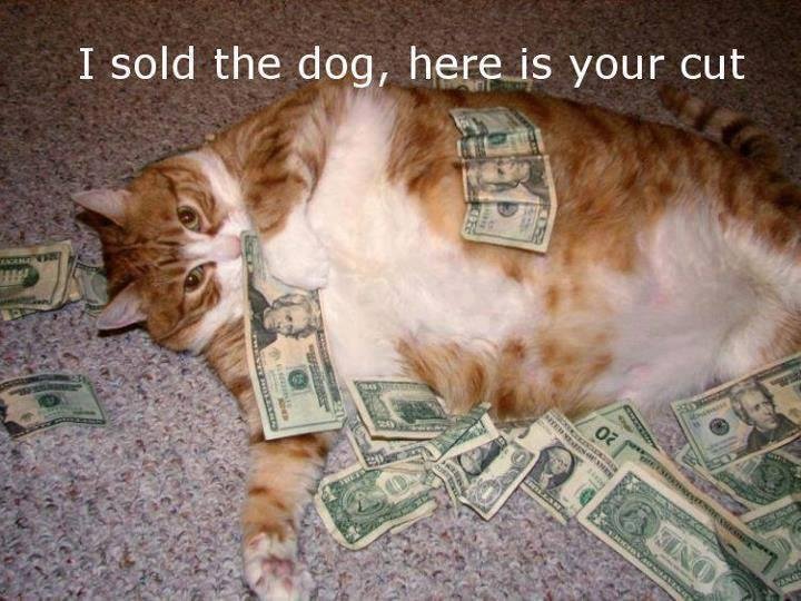 Hey Karen-- Might this be Pete's BFF?