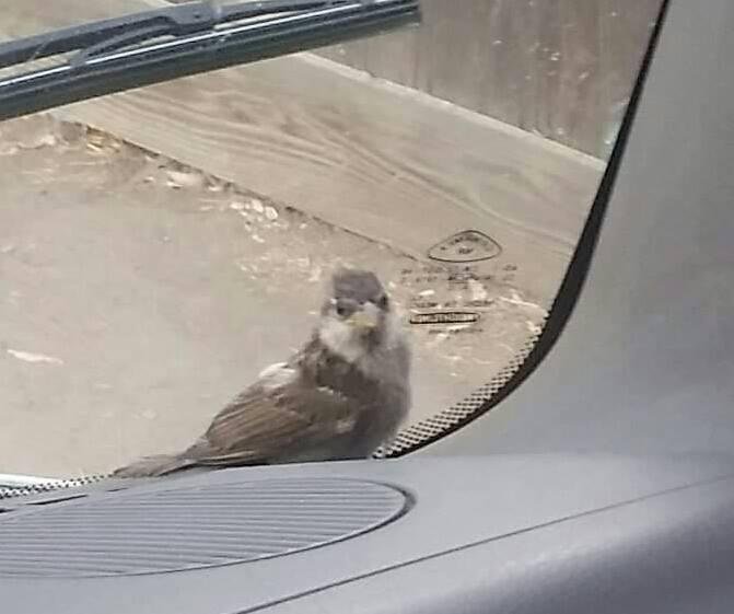 Who you lookin at?