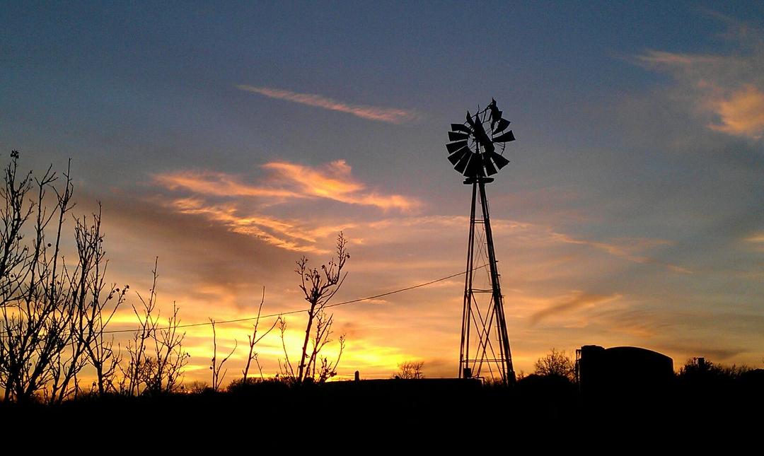 Art Sunset