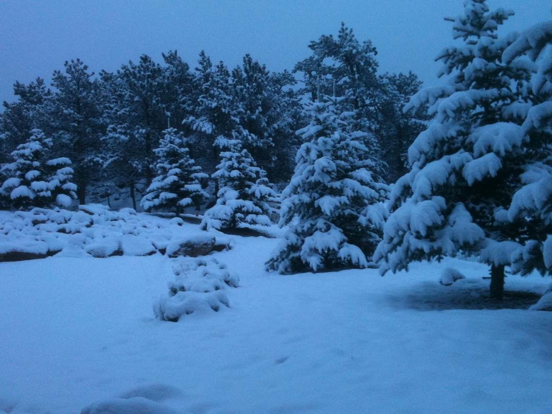 Looking out over our front yard 4/25/11...and only brought springtime clothes to wear...