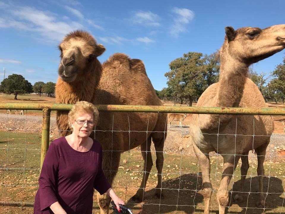 We are at an exotic animal farm close to Johnson City for Thanksgiving.