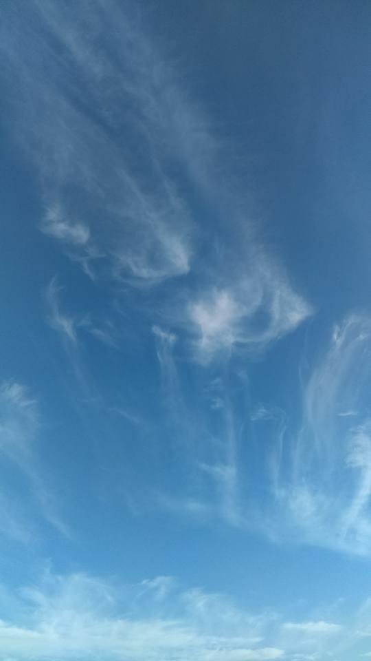 Anyone see any thing in this pic???