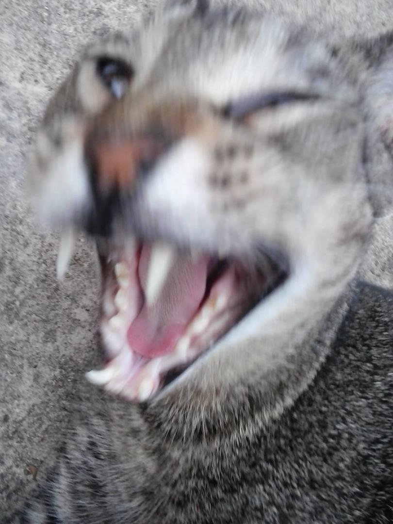 This is what I get when he knows I have my cellphone.