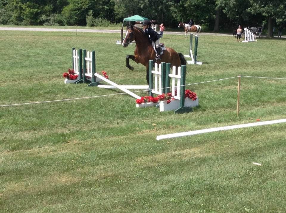 A nice third place finish for Michael, today at the horse show in Cazenovia. Great job, "Stinky Pete". So very proud of you.