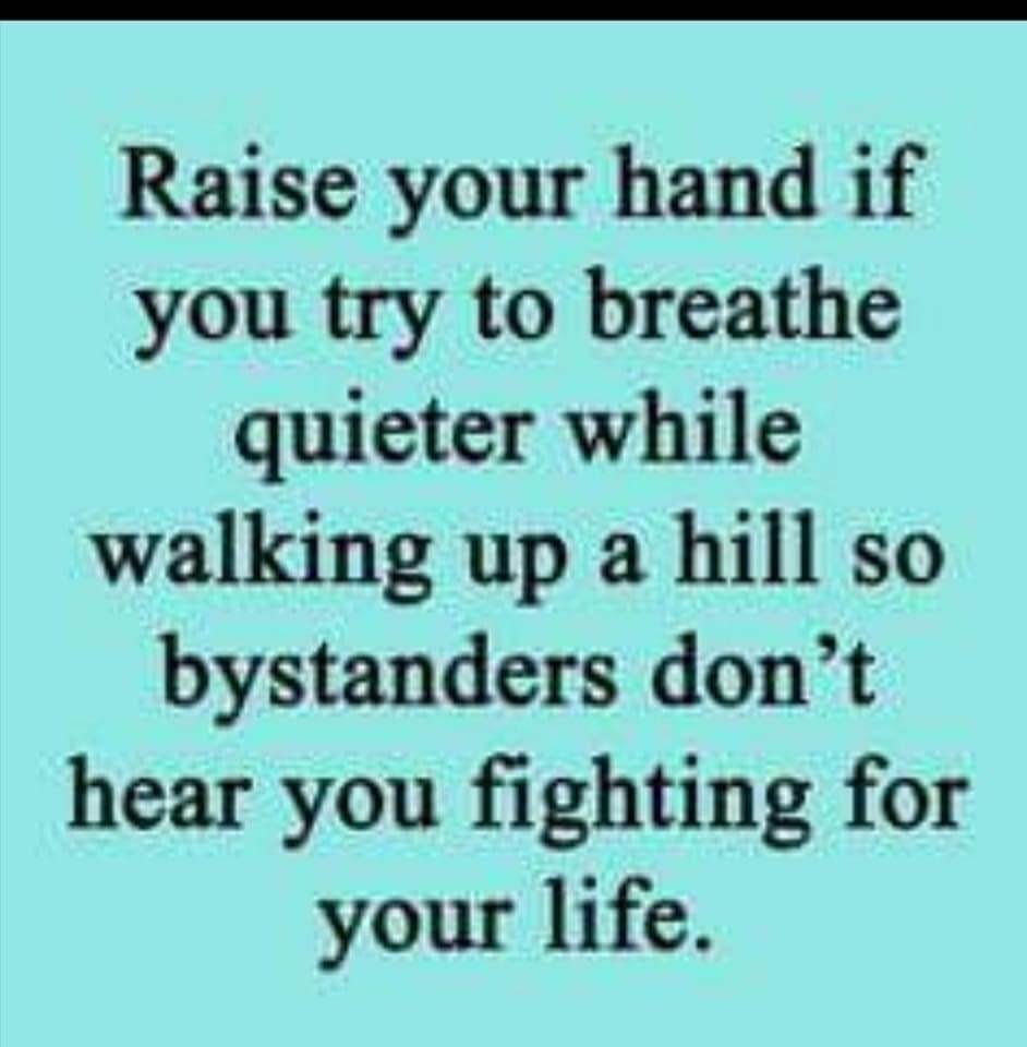 John Cook's album, Timeline photos
