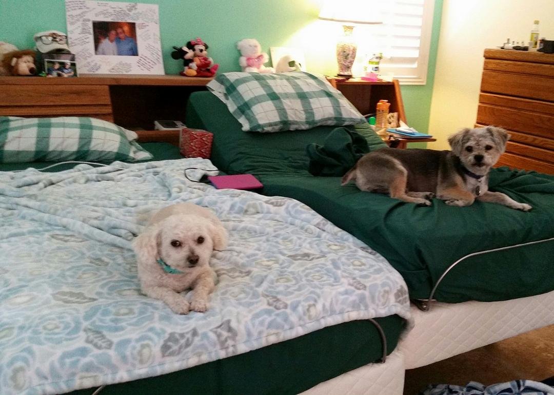 My sweeties.