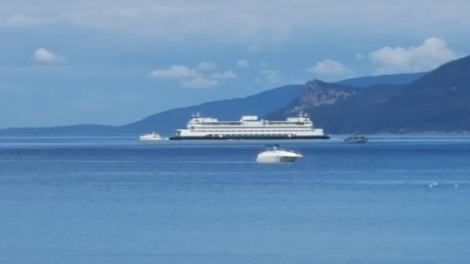 Ferry crossing as we sat on beach in Decatur island.So peaceful there and mostly golf carts for transportation.
