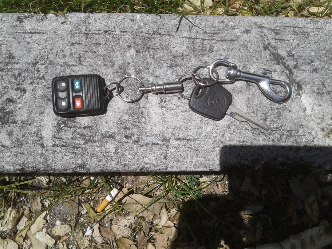 Found in Post Office parking lot 5/30