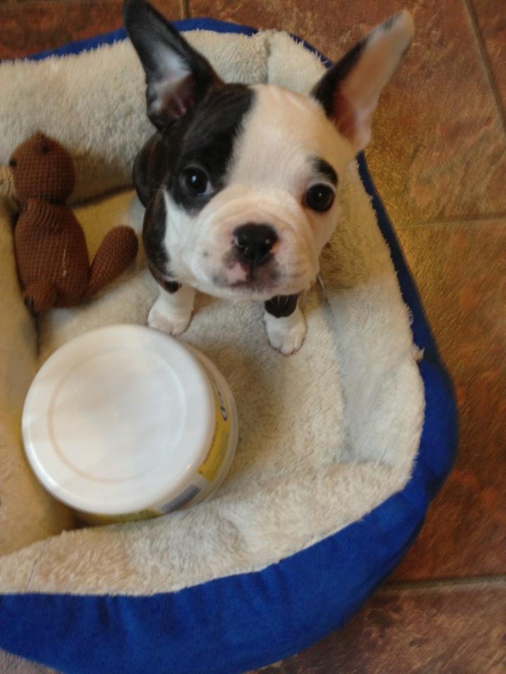 Made a mistake on his name it is JANGO  not mango