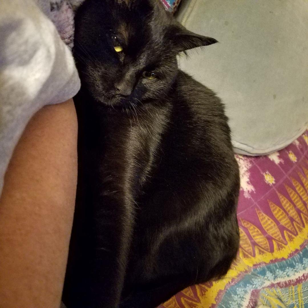 If he isn't on me he's so close he might as well be!