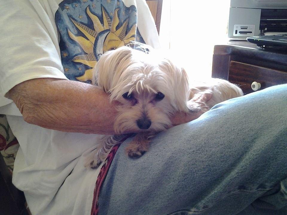 Happy dog day Maggie