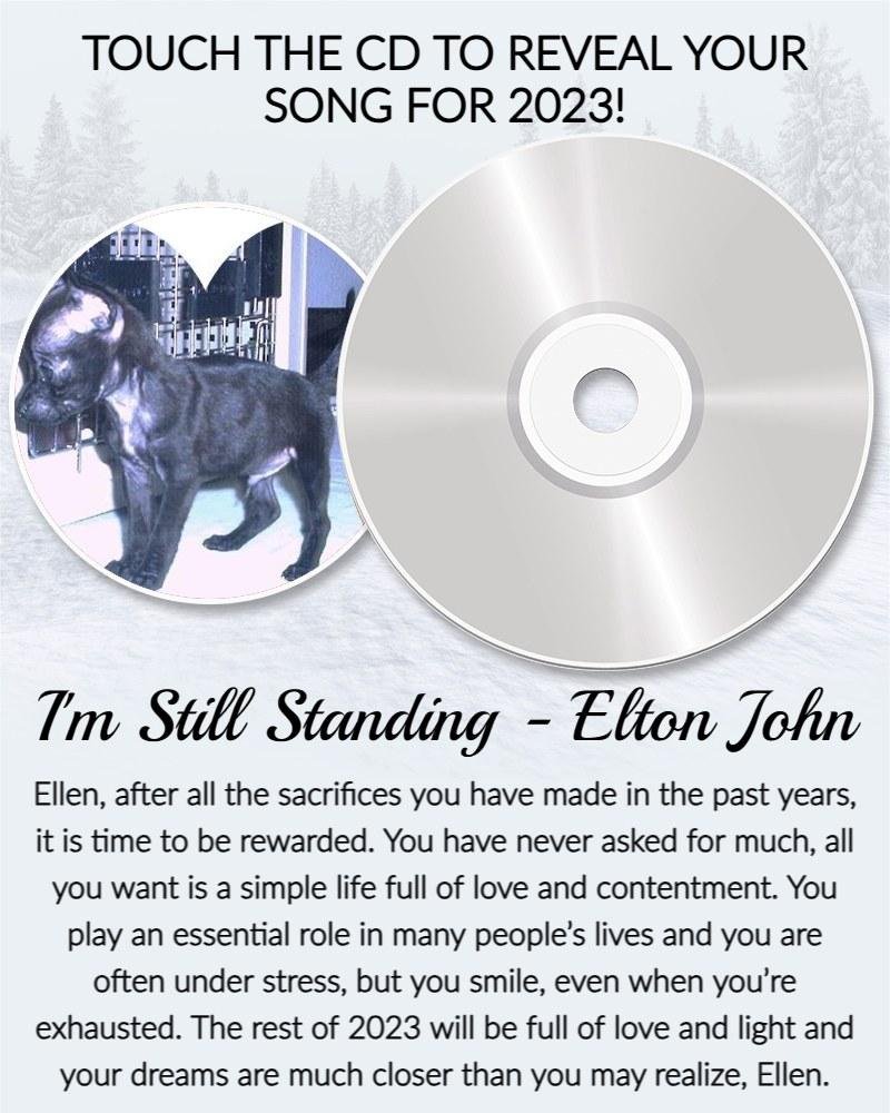 Ellen Ricker's album, Timeline photos