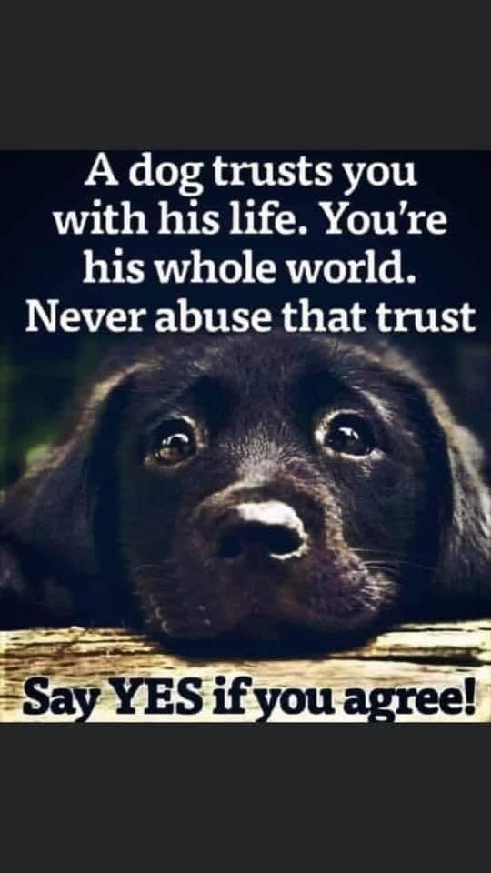 Cliff Bowman's album, Timeline Photos
