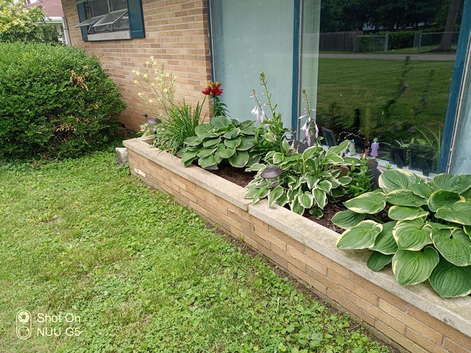 Robert Lowe's album, Timeline photos