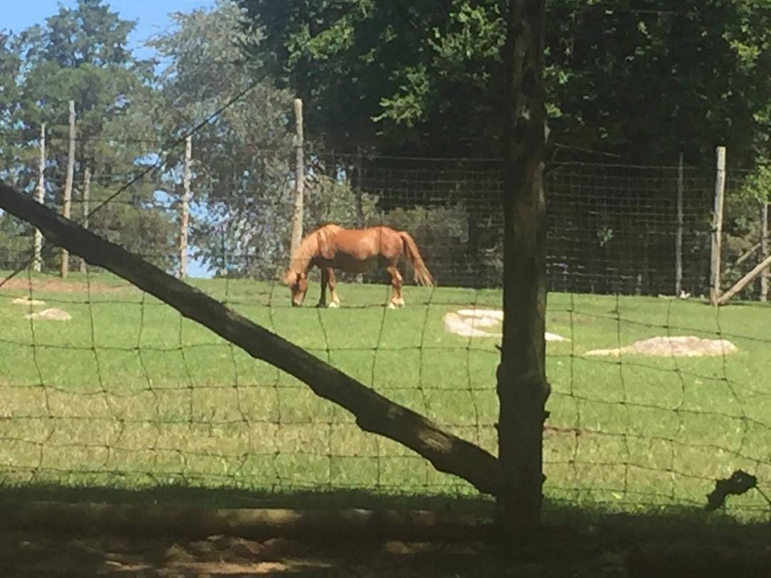Circle G Ranch