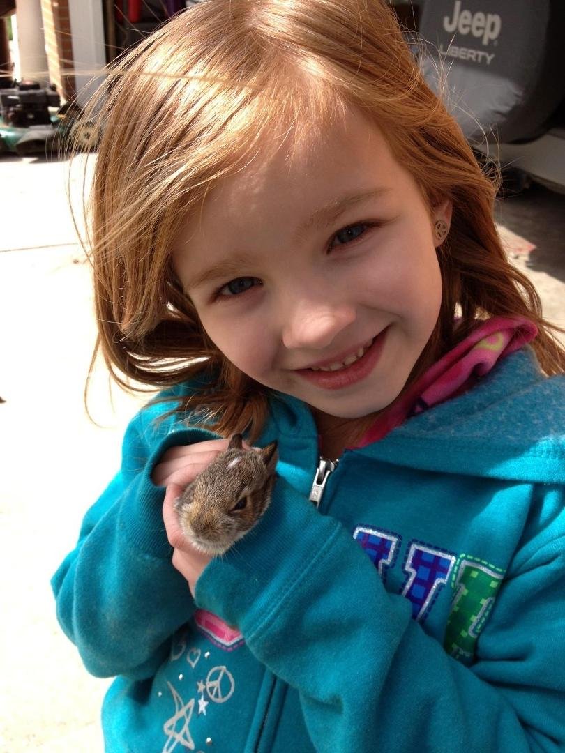 My grandaughter saved a baby rabbit from the lawn mower. I think they like each other.