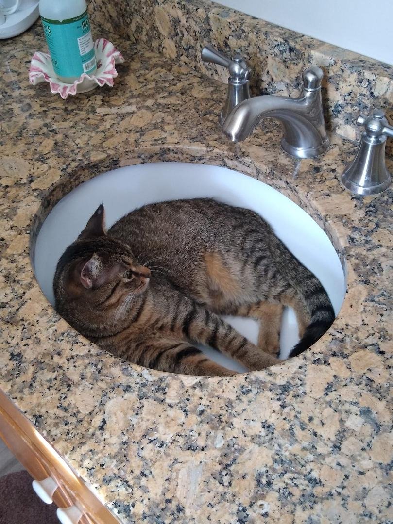 Waiting for me to turn on the water so she can lay there and get a drink 🤣🤣.