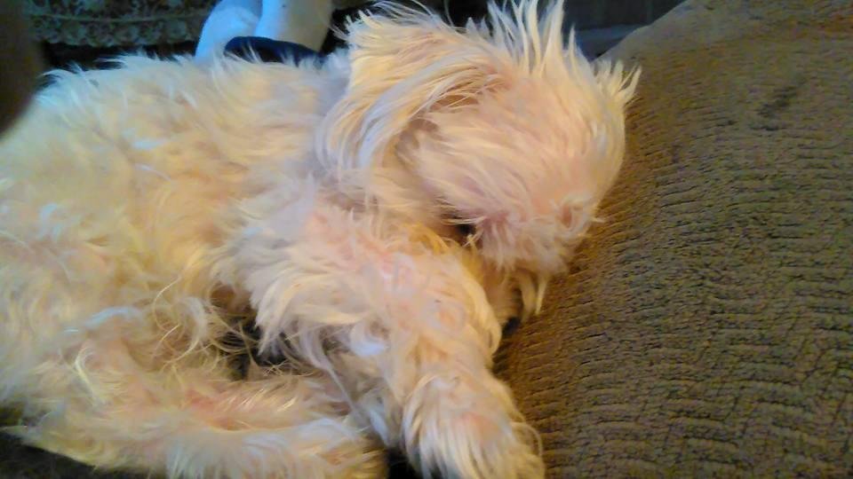 My little buddy