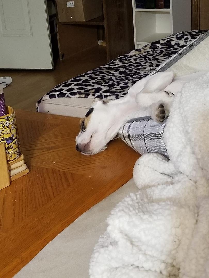 ROXY'S chill photo of the day