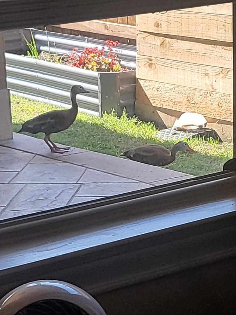 My birdfeeder must be special.