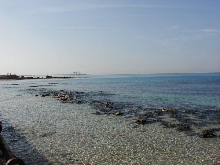Michael Wolfes' album, Israel trip
