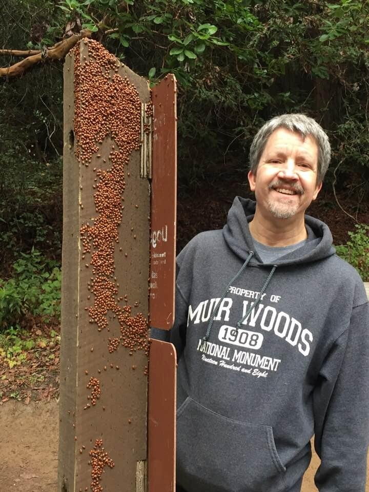 Hundreds of ladybirds and me at redwood Regional park in Oakland