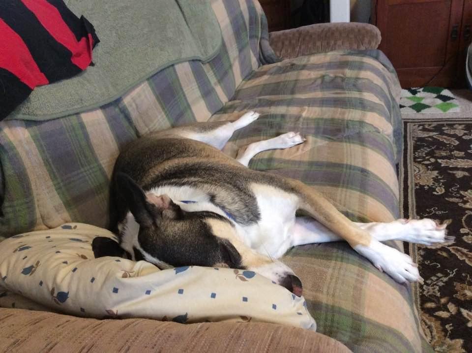Bruce has a rough day lol